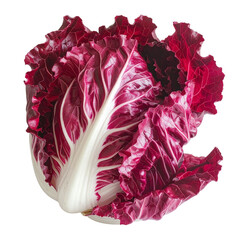 Fototapeta premium Fresh Red Radicchio Vegetable Isolated on Black Background with White Veins