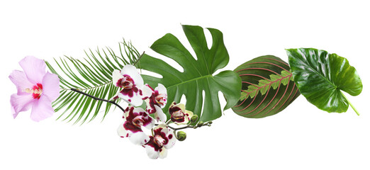 exotic collection of vibrant tropical flowers and lush green leaves, embodying paradise