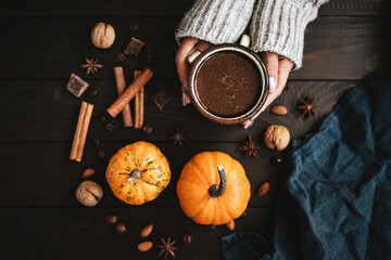 Top view of female hands in sweater holding mug of hot chocolate, pumpkins and spices on rustic wooden background, cozy autumn scene