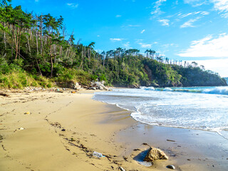 気仙沼大島・十八鳴浜（宮城県気仙沼市）