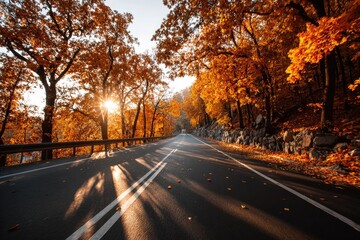Fototapeta premium Autumn road through golden trees