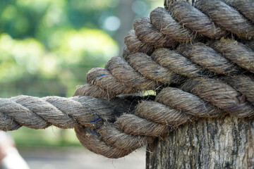 A close-up shot of a rustic rope tied in a strong knot around a wooden post. The image symbolizes strength, security, and a lasting bond.