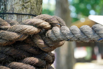 A close-up shot of a rustic rope tied in a strong knot around a wooden post. The image symbolizes strength, security, and a lasting bond.
