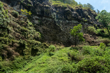 green moss covered rocks