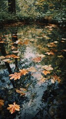 Obraz premium Autumn leaves in a forest pool