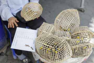 Tiny birds in woven cages evoke curiosity at vibrant traditional outdoor market