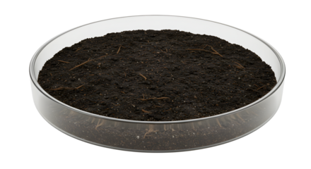 Petri dish with dark soil and tiny roots on white background for scientific research and biology studies