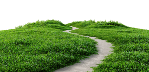 Winding path leading through lush green grass lawn, isolated on transparent cutout background