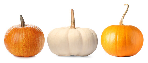 Fresh pumpkins isolated on white, set. Autumn vegetable