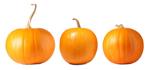 Fresh pumpkins isolated on white, set. Autumn vegetable