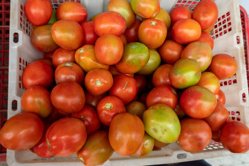 fruits and vegetables