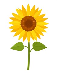 Bright sunflower illustration