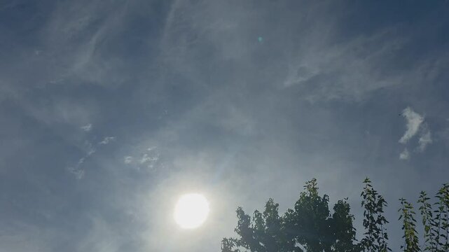 Bright sky with sun and light clouds over trees, the sky over W&uuml;sting, 27798 Hude, Germany