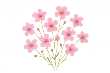 Obraz premium Pink cherry blossom flowers blooming on delicate stems, symbolizing spring, beauty, and renewal on transparent background