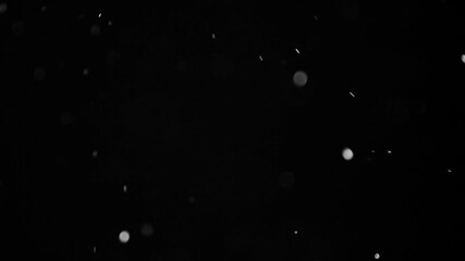 Black and white dust particles floating slowly in the air overlay video - Powered by Adobe