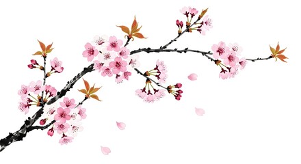 Fototapeta premium Cherry blossom branch with soft pink flowers and falling petals, symbolizing beauty, renewal, and the fleeting nature of life in Japanese tradition.