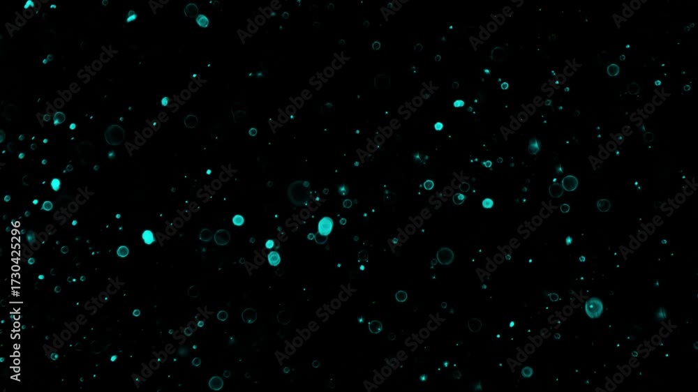 Wall mural abstract teal particles floating bokeh background animation overlay video