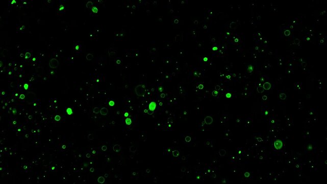 Green particle effects animation background stock video loop footage