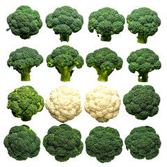 Fresh broccoli and cauliflower arranged in alternating colorful row in professional studio food photography with natural detail
