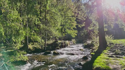 A mountain river or stream of cool, clear, pure water flows among rocks and mountains in the mountains among grassy meadows and trees.