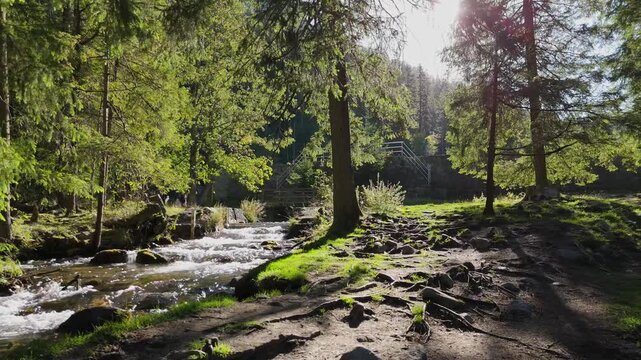 A mountain river or stream of cool, clear, pure water flows among rocks and mountains in the mountains among grassy meadows and trees.