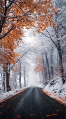 Obraz premium Road through snowy forest with orange autumn leaves atmospheric landscape