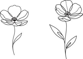 Minimalist Black and White Line Art Flower Drawings