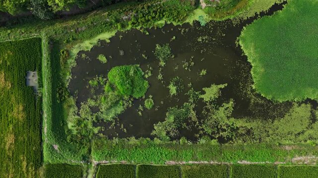 Aerial View of Rural Pond and Countryside Landscape