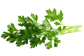 Fresh Parsley Sprigs: A vibrant bunch of fresh parsley sprigs, showcasing the herb's bright green leaves and delicate texture.