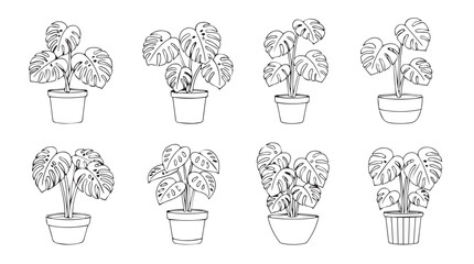 Collection of outline drawings of houseplants in pots botanical line art collection vector