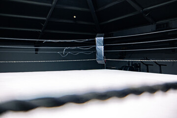 A boxing ring with white canvas and black ropes. The scene is dimly lit, emphasizing the structure and tension of the ring. No people are present.