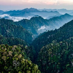 Naklejka premium Misty Mountains in Southern Thailand