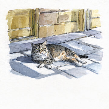 Watercolor Illustration of a Relaxing Cat in Sunlight