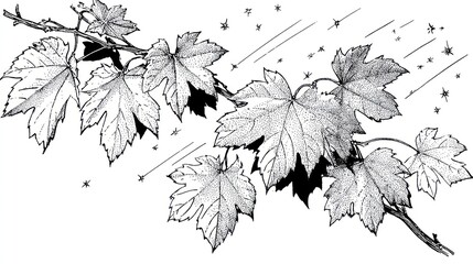 Vintage maple leaves branch illustration