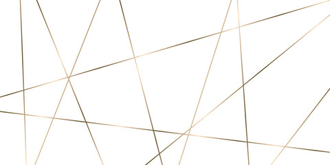 Luxury premium golden random chaotic lines on transparent background. modern banner presentation gold line background, Vector.