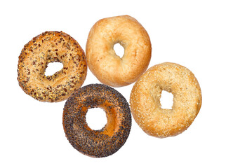 four diverse bagels, including everything, poppy seed, sesame, and plain, arranged artfully on a dark background
