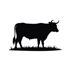 Silhouette of a standing bull in the grass, a stark and simple design, bull grazing silhouette vector illustration