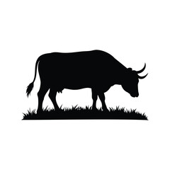 A silhouette of a cow grazing in the grass with horns visible, bull grazing silhouette vector illustration