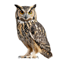 Fototapeta premium Wise Owl's Gaze: Capturing the majestic presence of a great horned owl, with its captivating amber eyes and intricate plumage.