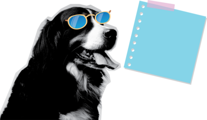 Dog and diary art collage