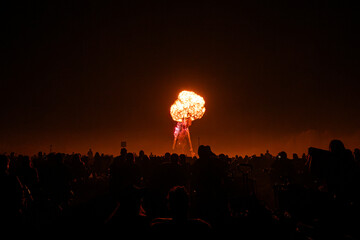 Fireworks in the sky