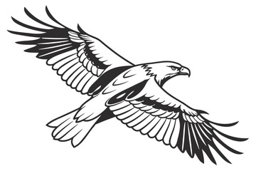 Flying Eagle and Sailboat Vector Art - Monochrome Marine and Wildlife Graphic