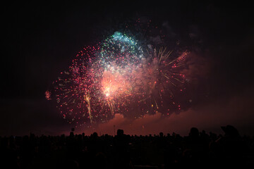 fireworks in the sky