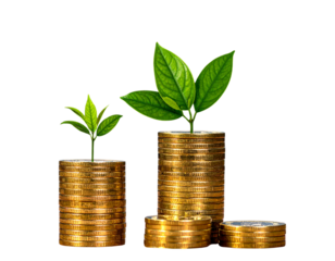  Golden Coin Towers with Leafy Plant Emerging, Side Angle View, Isolated
