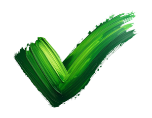  Hand-Drawn Green Check Mark with Brushstroke Texture, Isolated