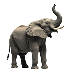 Obraz premium Large elephant standing isolated on white background for design. Elephant is smiling and has its trunk raised.