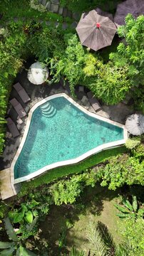 Aerial top-down view of tropical jungle resort with villas and pool in Bali, Indonesia v3