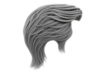 A stylized representation of flowing, silver-toned hair against a dark background.