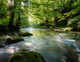 serene river flowing beneath lush forest canopy