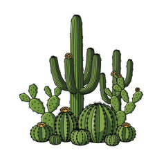 Cactus Plant